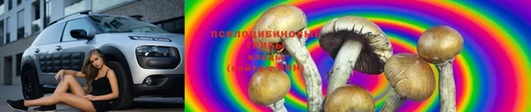 круглые Алексеевка