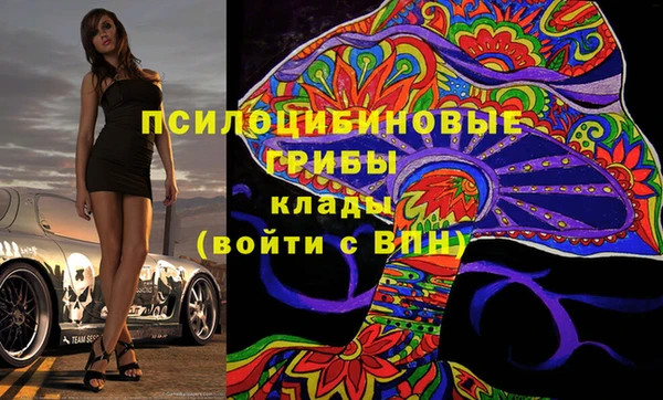 дживик Алексин