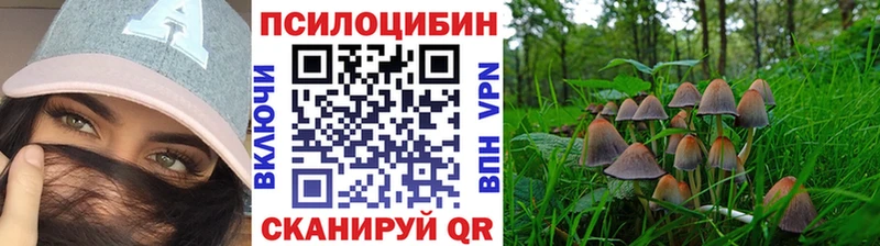 Галлюциногенные грибы MAGIC MUSHROOMS  Цимлянск 